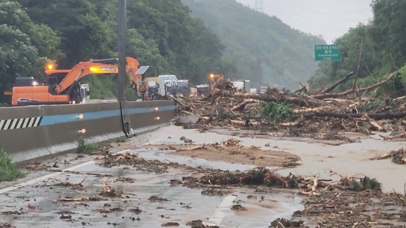 韩国暴雨，救灾人员用起重机搬走阻塞公路的塌树。